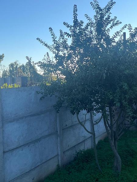 ¡Espacio, Privacidad y Cero Gastos Comunes: Tu Nueva Casa Estilo Mariposa!