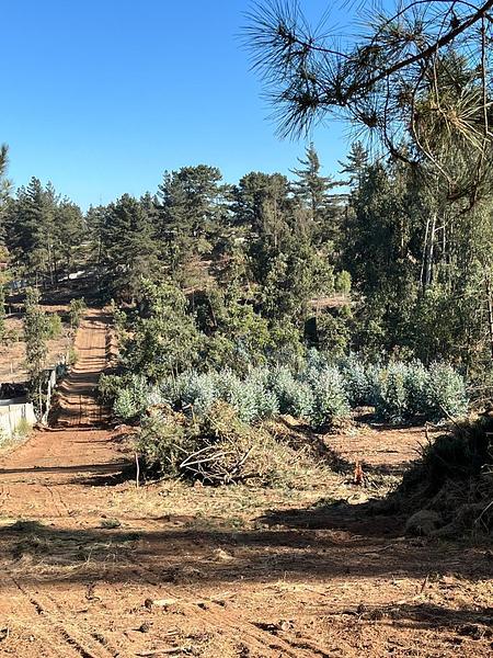 OPORTUNIDAD DE INVERSIÓN EN REÑACA BAJO | VIÑA DEL MAR